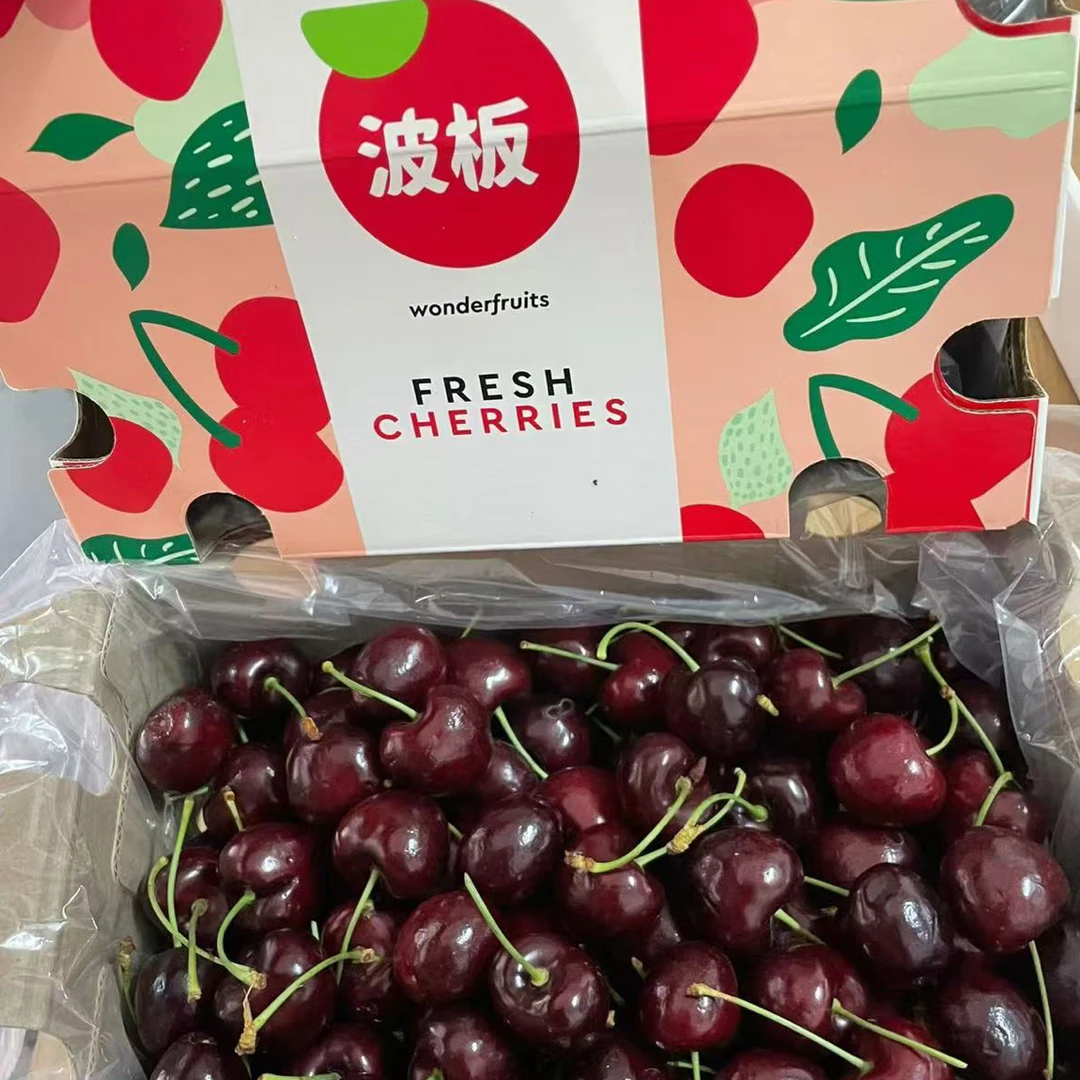 海运车厘子桑提娜4JD车厘子粉波板原箱装净重5斤黑车 （内附果径卡）桑提娜樱桃智利共和国