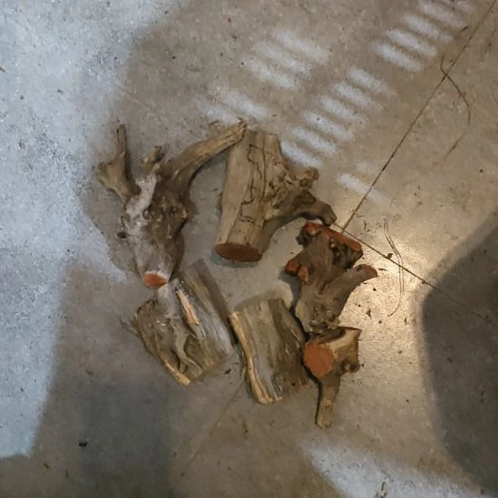 海***0大果紫檀（缅甸花梨）