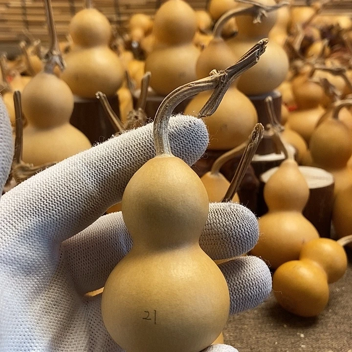 文玩葫芦 完美主义者 慎拍21