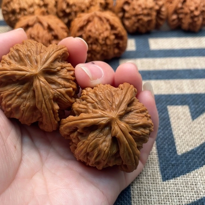 .***.核桃白狮子40核桃