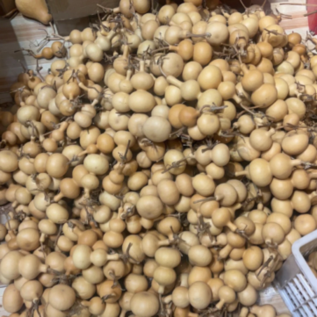 天然葫芦直播间专用一物一拍