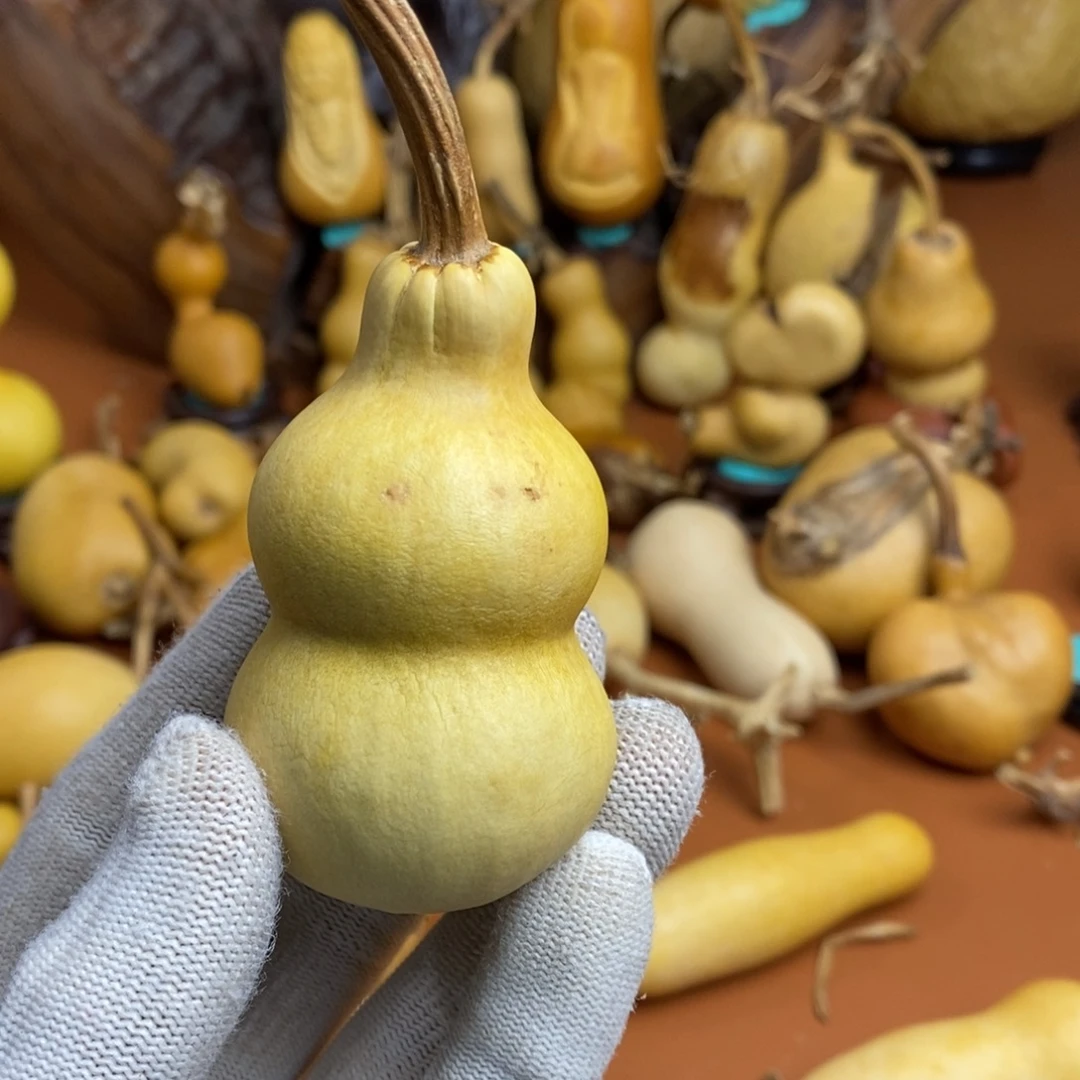 诸***意啦啦噜教练教练教练