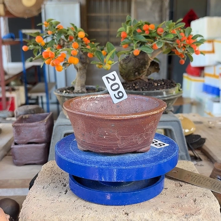 10.5x4.5//////////207////