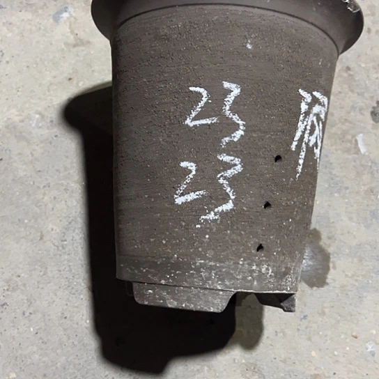 紫砂工艺厂……紫砂工艺厂……