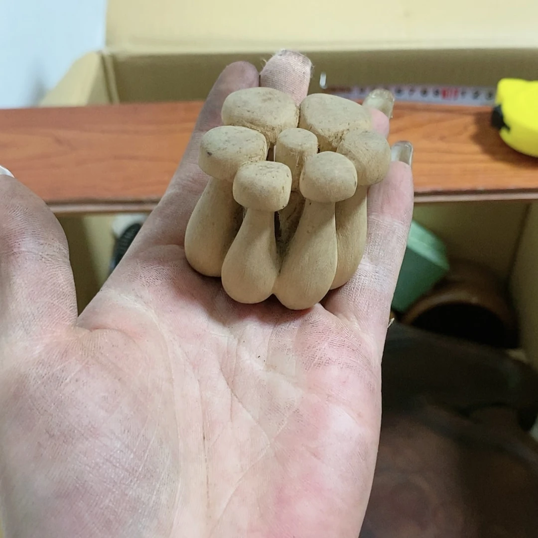 【闪购商品】希*欢迎来到我们