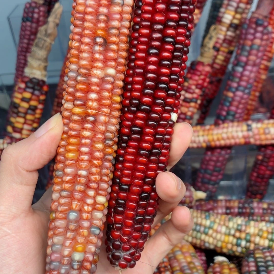 ·***吊坠白玉菩提文玩精品文玩精品