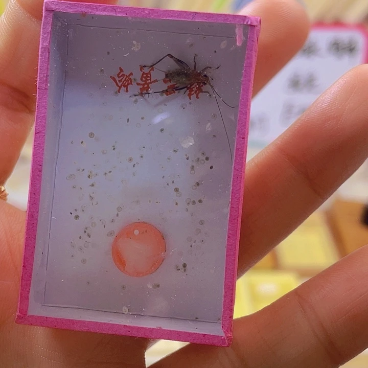 修***志2公3母1啊啊啊啊啊