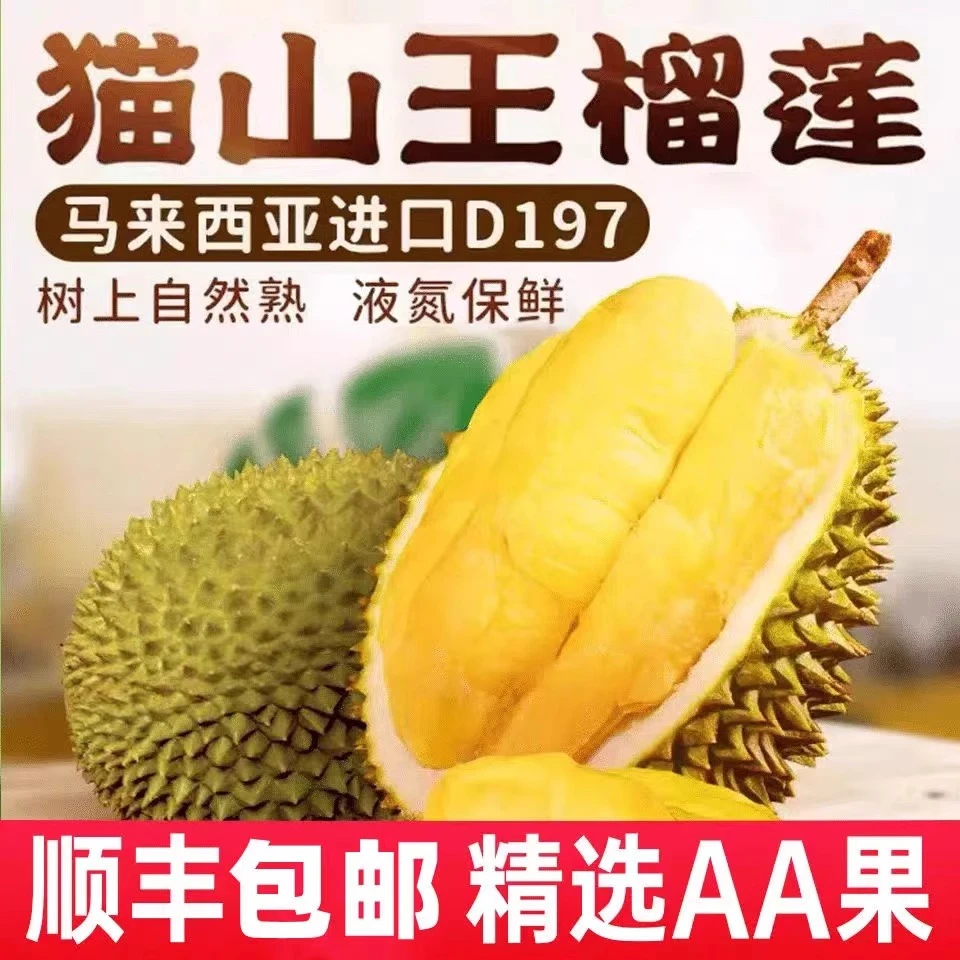 当季新果保5房猫山王榴莲马来西亚树熟榴莲顺丰包邮液氮冷冻榴莲