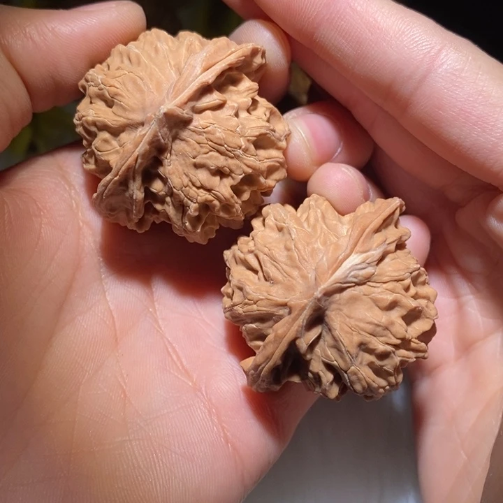 顺***鑫吊坠文玩核桃精品课程和专业培训教材