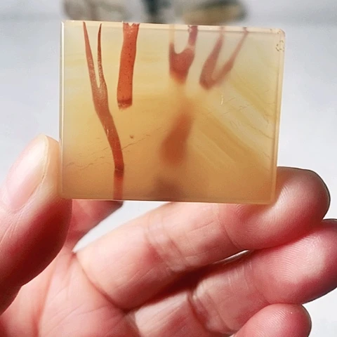 未镶嵌玛瑙/玉髓珠宝奇石