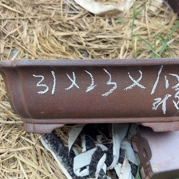 瑕疵吃瑕疵吃的尺寸瑕疵吃小