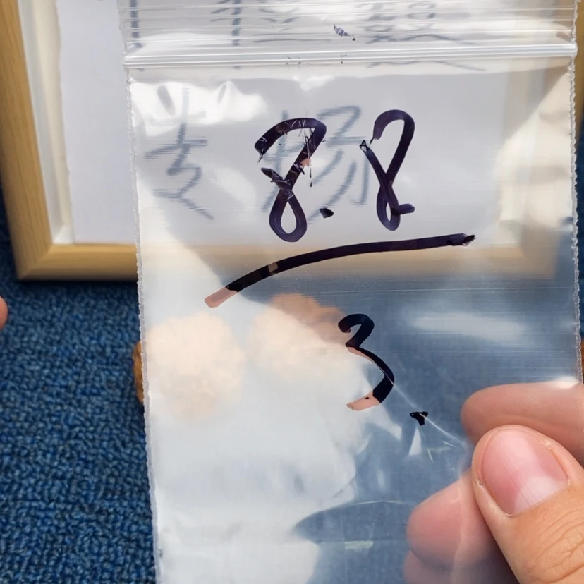 【闪购商品】哈哈哈哈哈哈哈哈哈哈哈哈