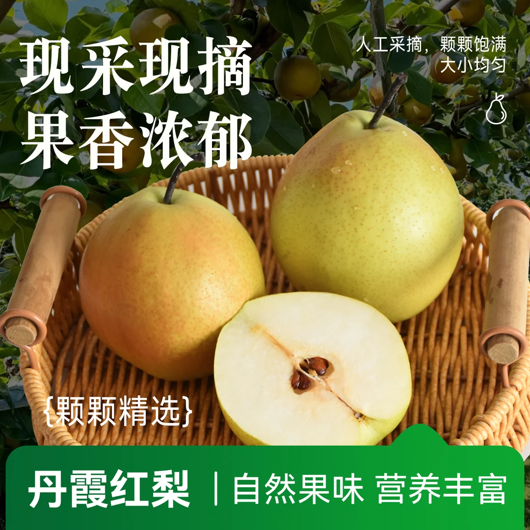 丹霞红香梨新鲜酥脆大果品质甘甜爽口口感味美细腻汁水充足梨子
