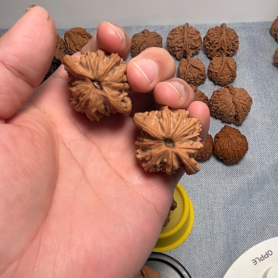 40尺鸭嘴核桃核桃核桃