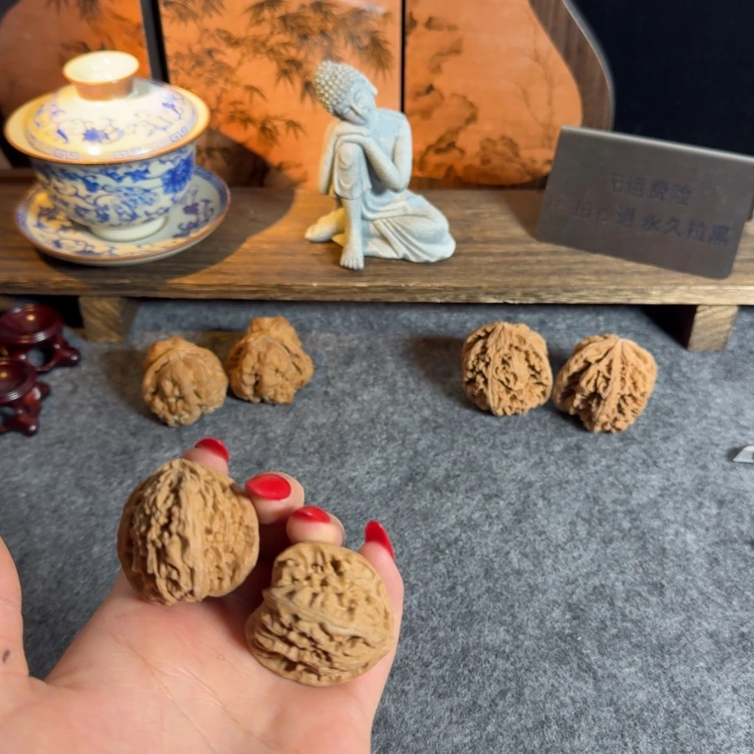 全品34老树不打药白狮子