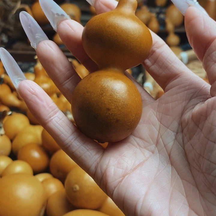 清***炒8888888888888888888