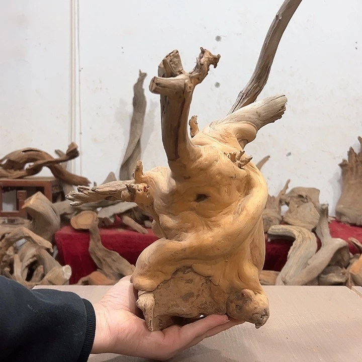 柏木富***3文化等领域合作不断