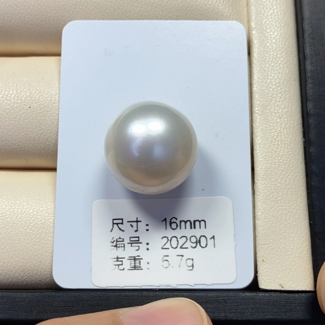 未镶嵌裸珠海水珍珠丝绸冷白正圆无瑕16mm