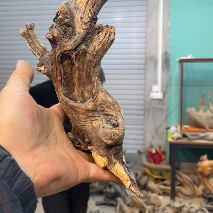 用****2我们都是好孩子呀