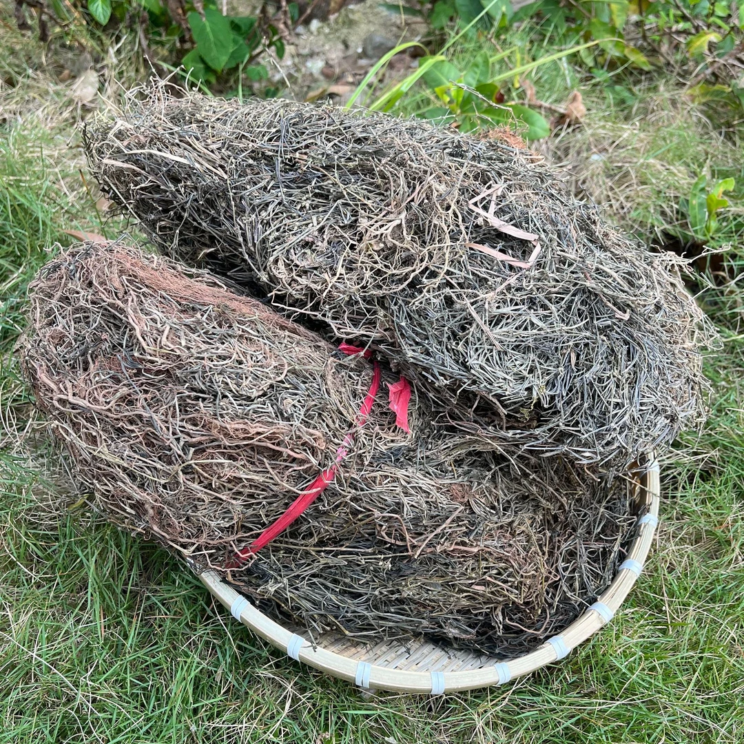 一村一品直播好货【潮汕青草 蛇舌草】