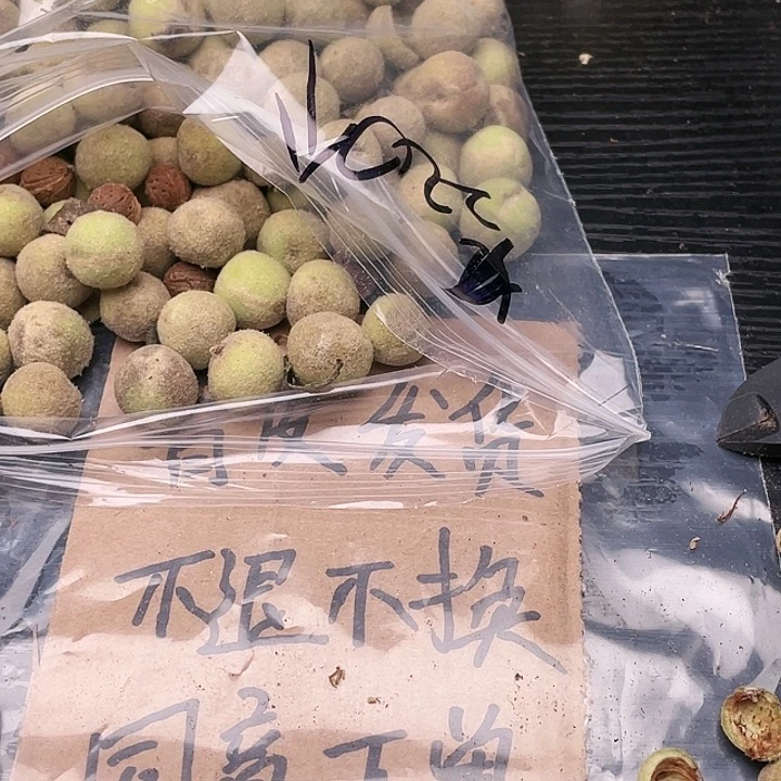 【闪购商品】核桃其他朗**钩青皮发货300米不退不换