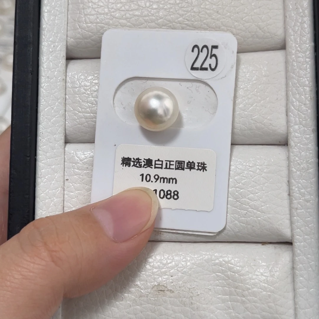 未镶嵌澳白单珠10-11mm特价海水珍珠
