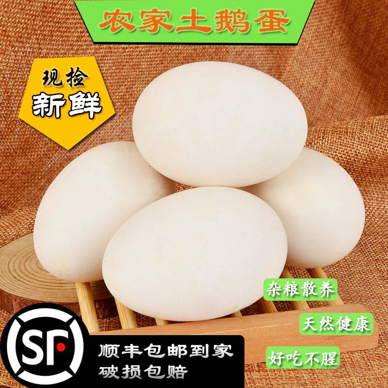 【190克以上】8枚大鹅蛋正宗散养新鲜农家现捡土鹅蛋孕妇孩子送礼