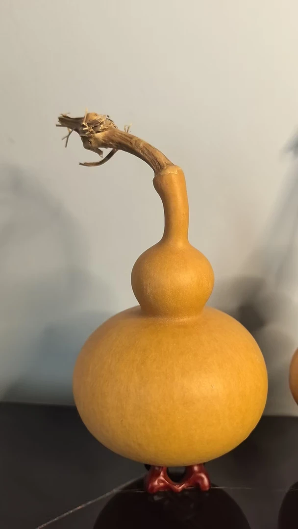天然葫芦一物一拍，不保龙头
