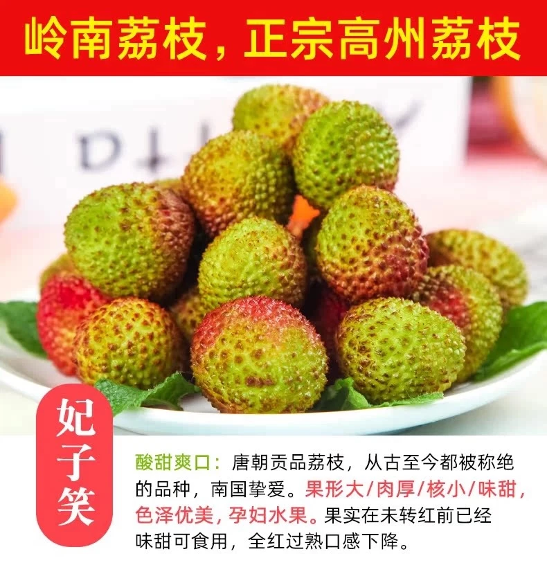 广东高州妃子笑荔枝5斤当季新鲜水果现摘现发核小肉厚爆汁鲜荔枝