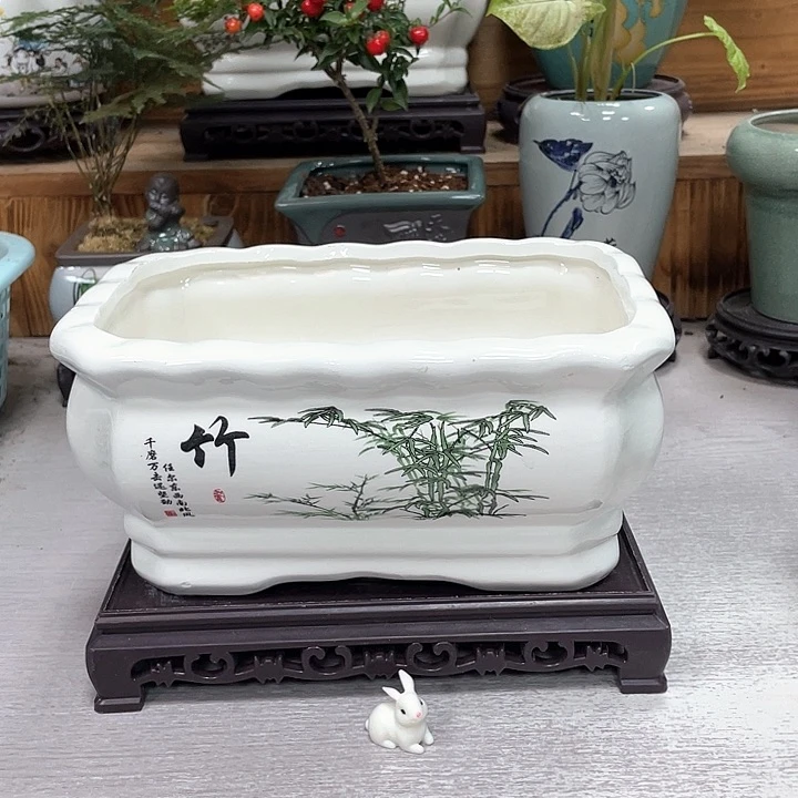 陶瓷花盆抢购福利活动