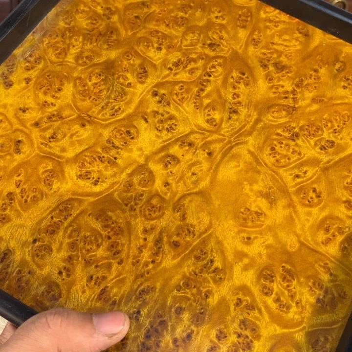 木黄金樟留疤独板方盘