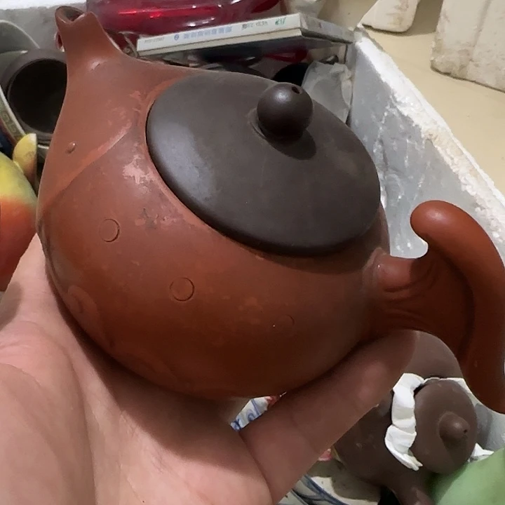 普***通香榧木fgggcgvhvbvbv