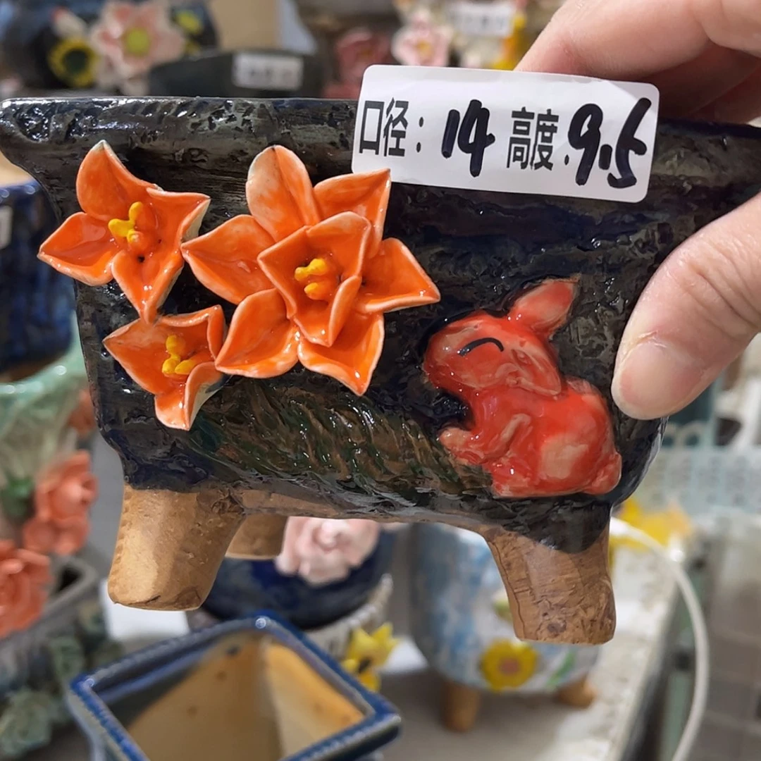 【闪购商品】红陶福利