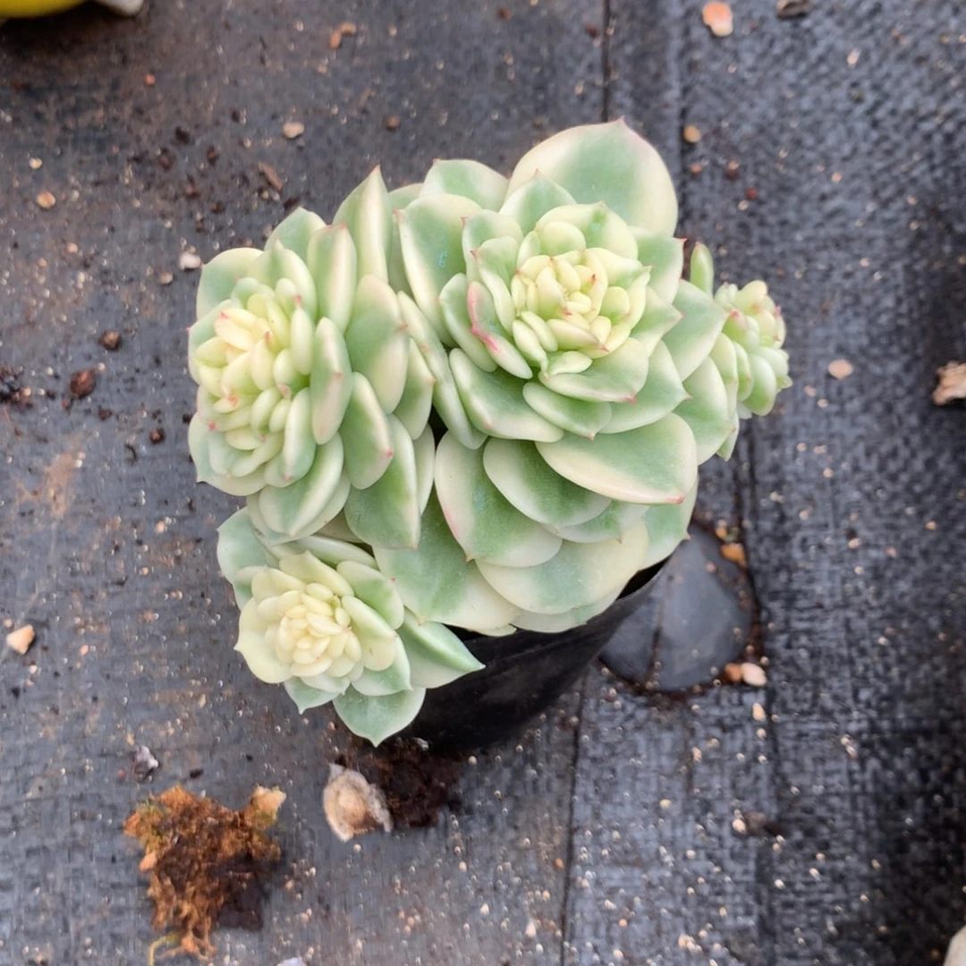 那时候我们是什么时候呢