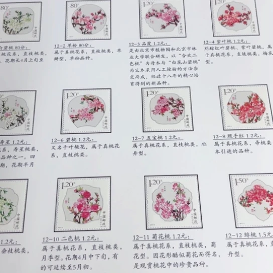 用****72013-6 桃花贴片