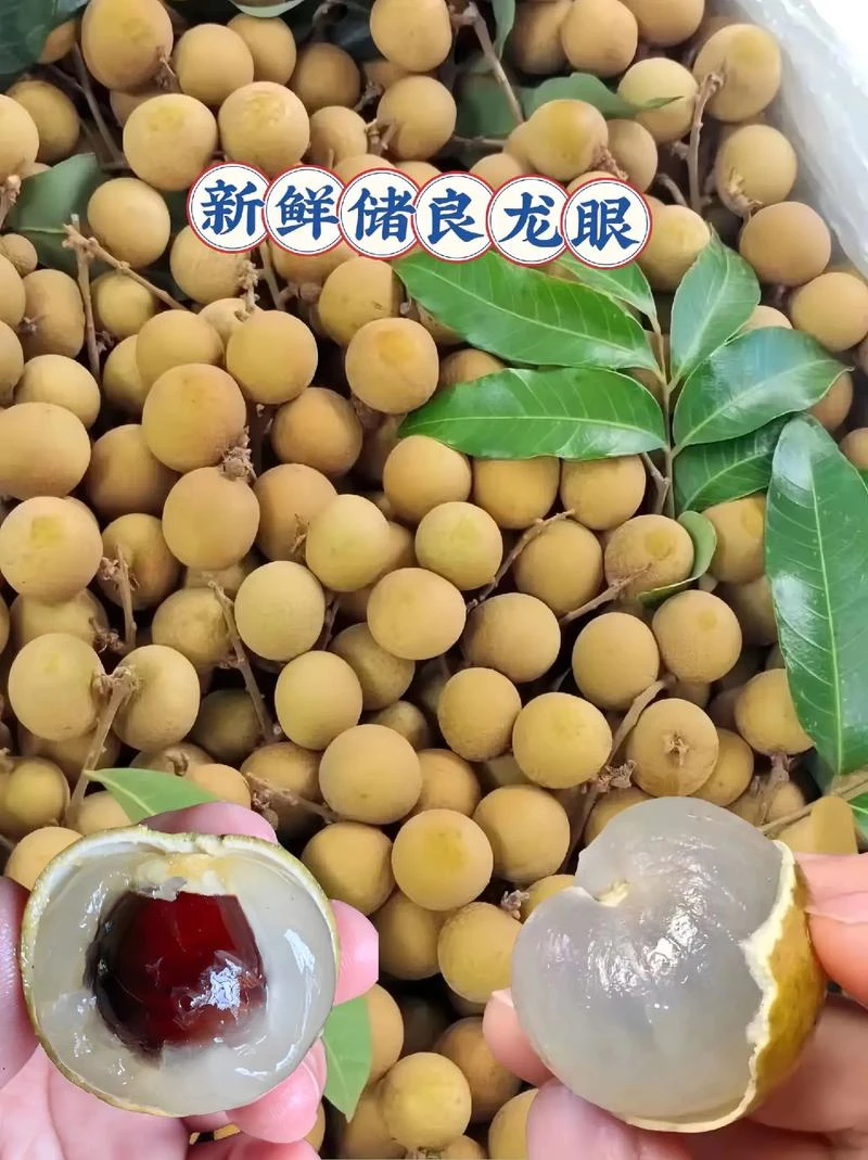 广西储良龙眼现摘现发皮薄肉厚果核小清甜爽脆