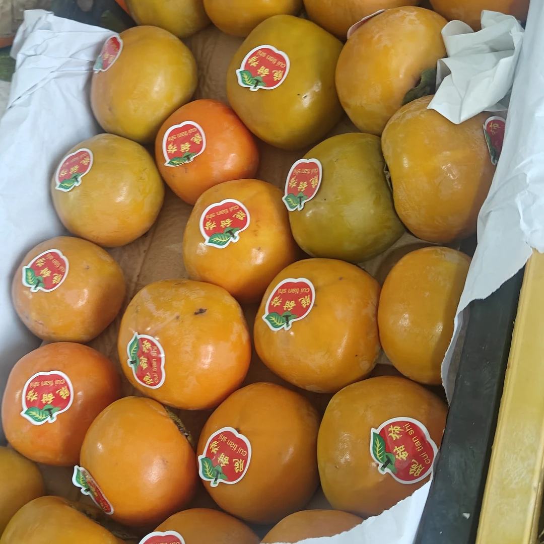 脆柿子脆甜（一斤）