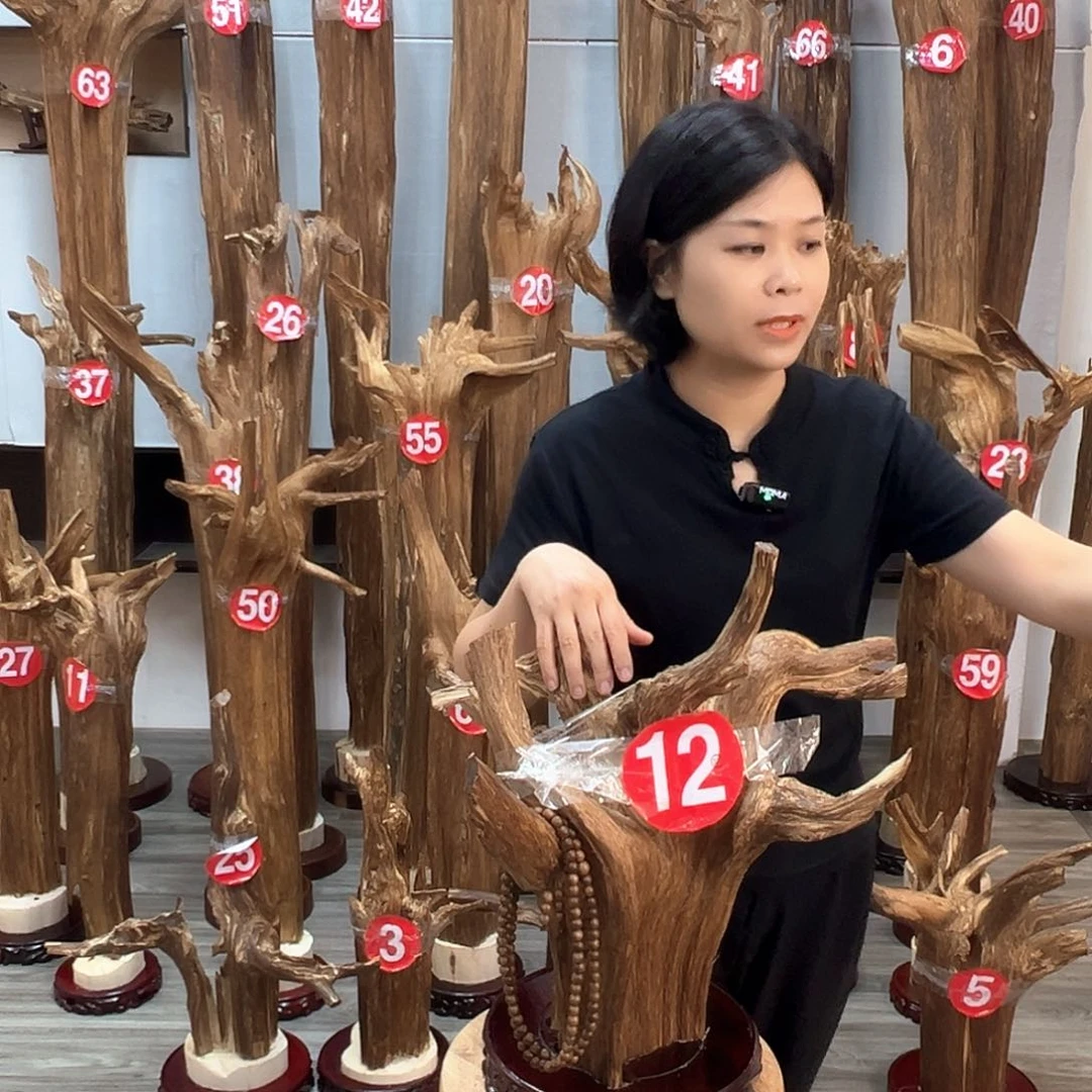 沉香碎屑沉香邢*通沉香碎屑