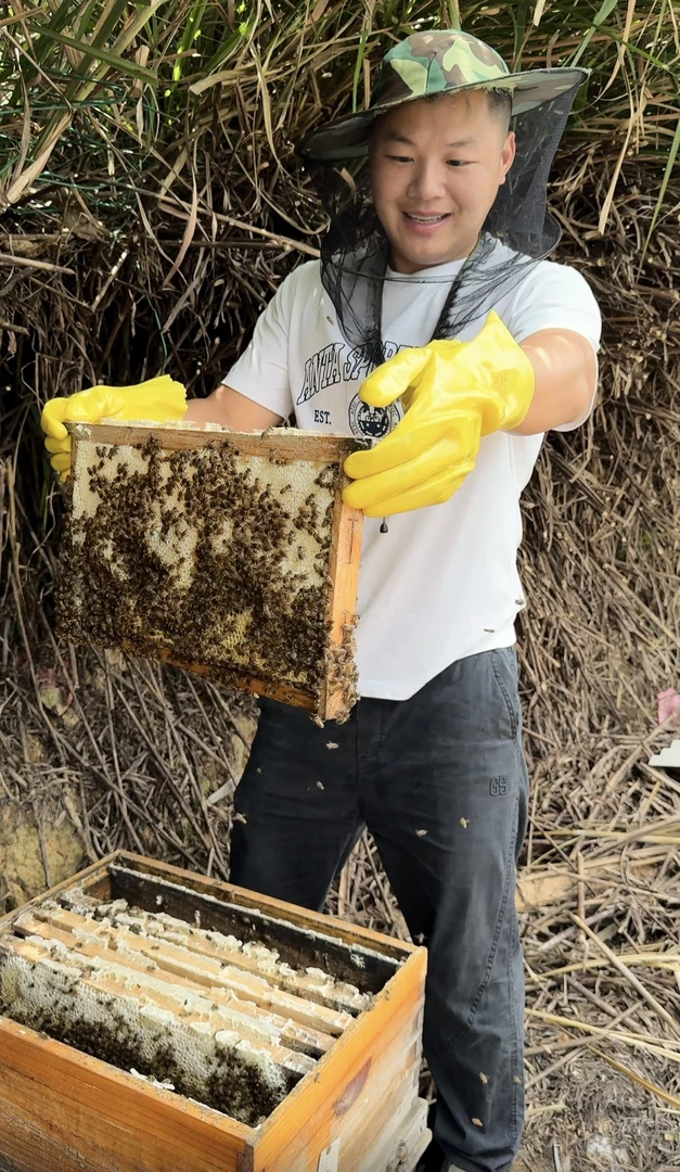 土蜂蜜冬蜜百花蜜1000g