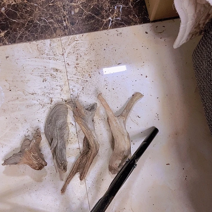 柏木鱼***✔陈化到位坨坨疙瘩