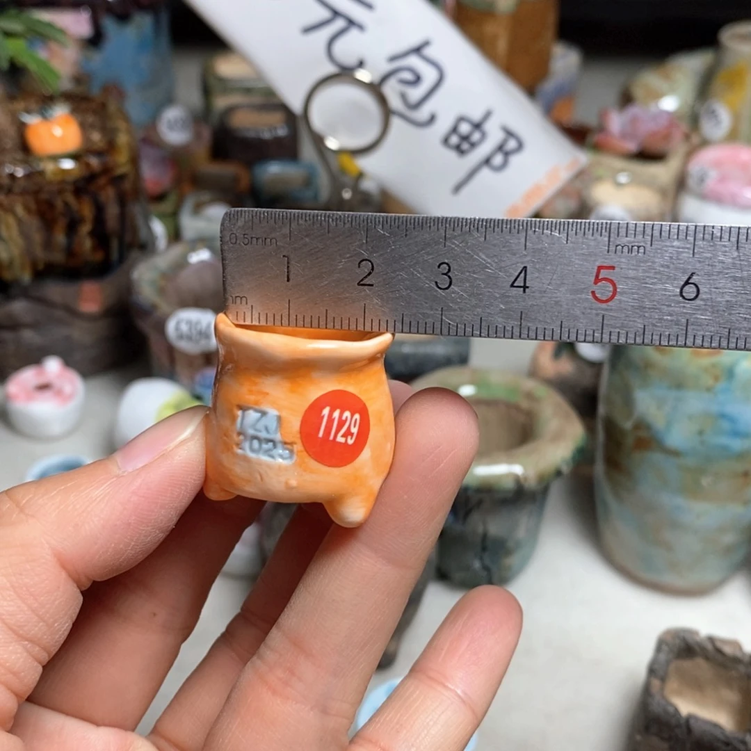 双十一福利款不退不换，原28元一个