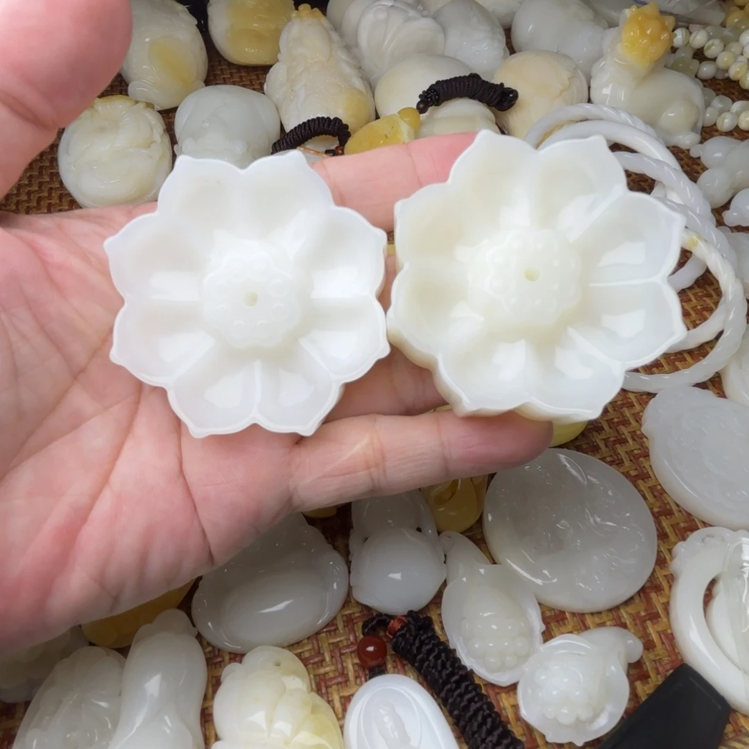 经***济非金属贝壳天然贝壳
