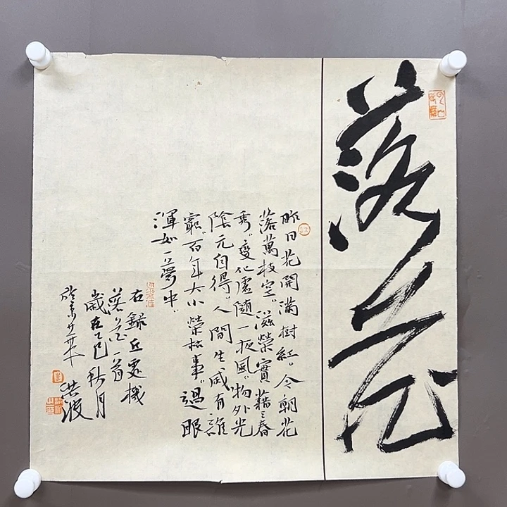 国画55555555555555