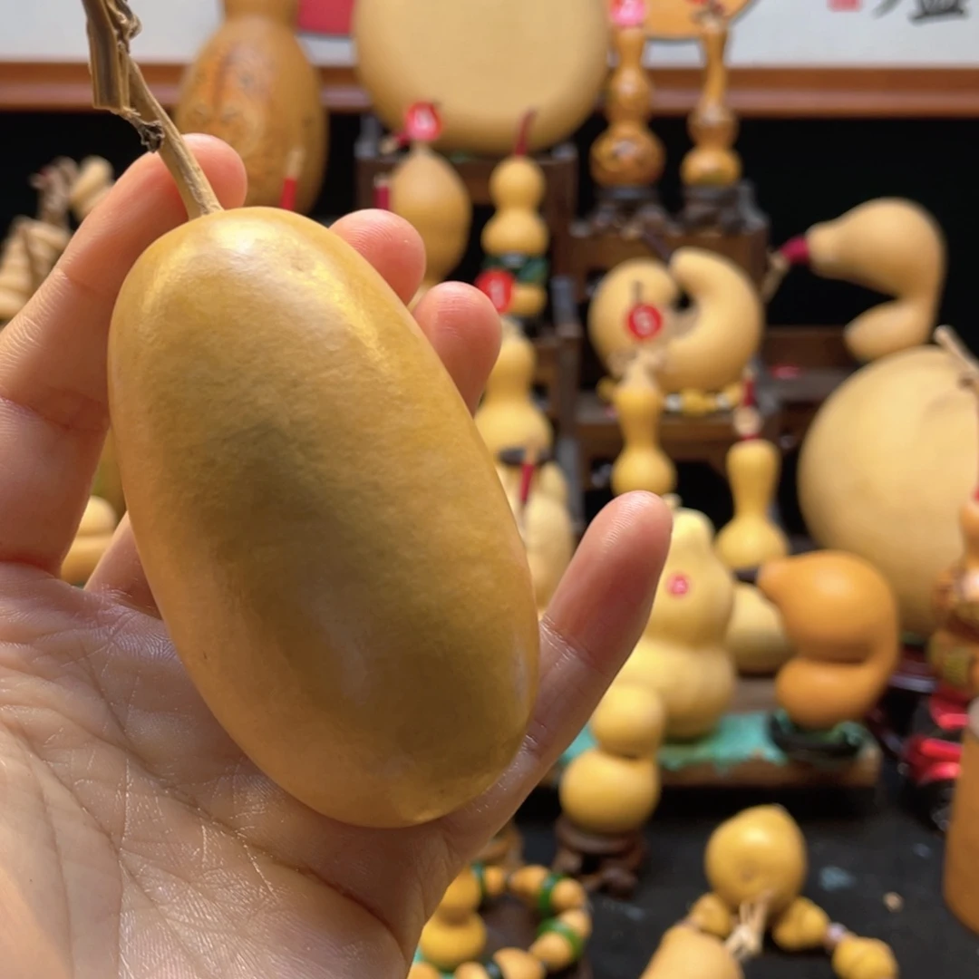 Y**s大自然的秘密第十一章