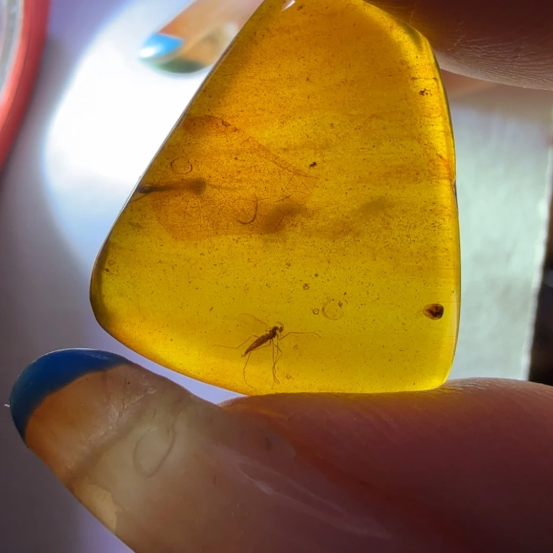 未镶嵌琥珀裸石。