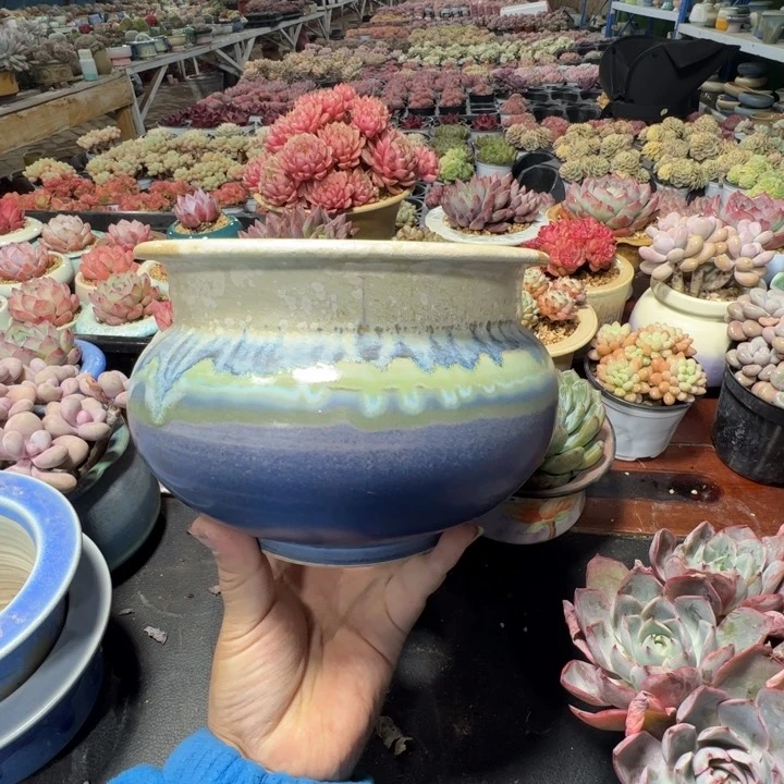 特价花盆满50发货内口13.5