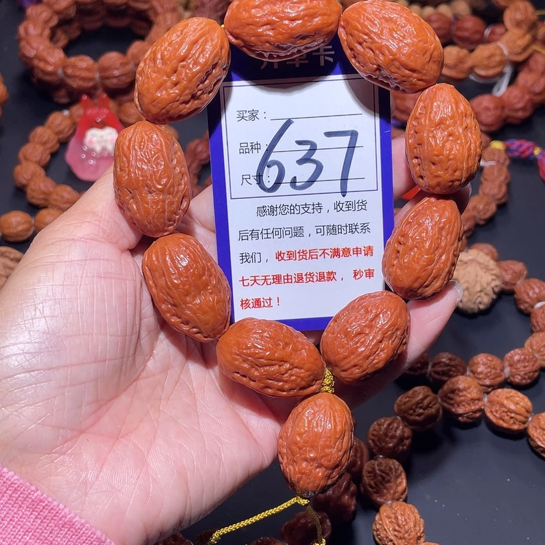 637秋子橘红皮肉筋大枣22