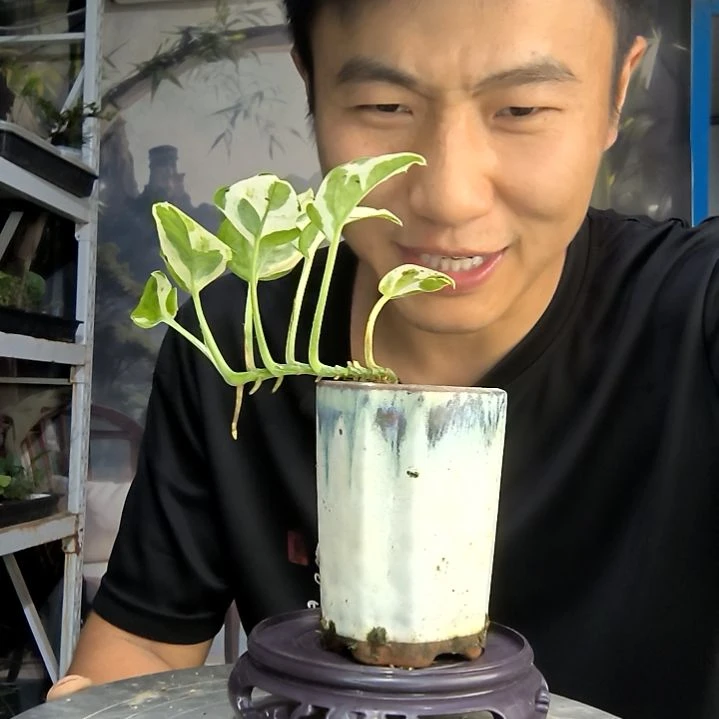 用****5中青园艺一物一拍142