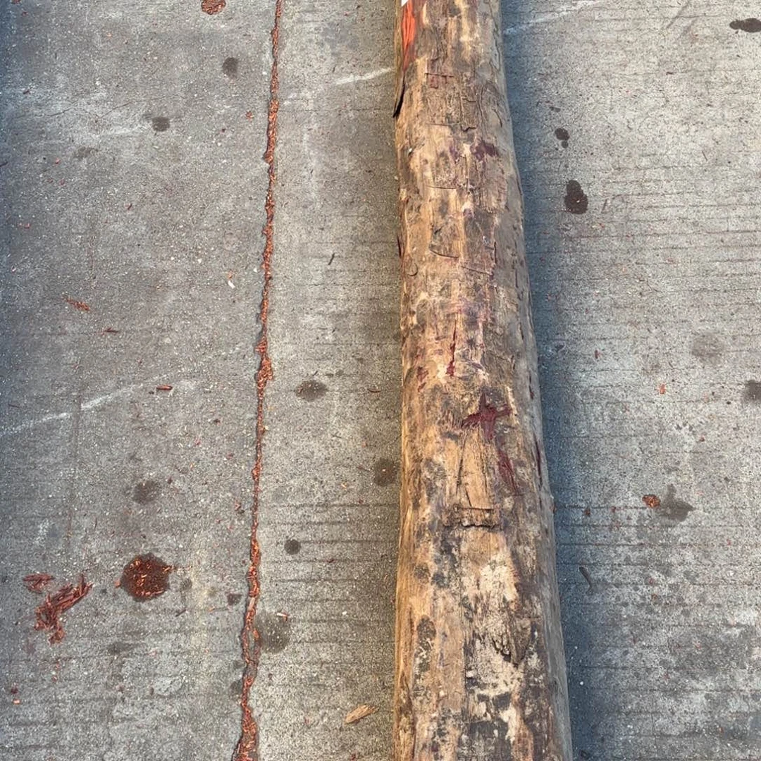 灰***狼紫砂一物一拍血檀编码170