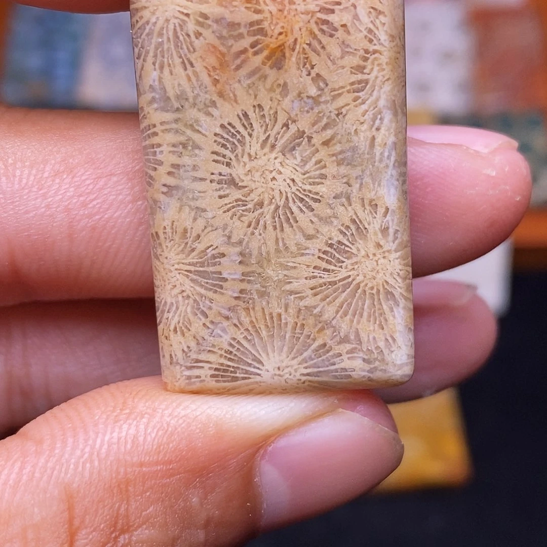 彬***g硅化玉合金珊瑚玉